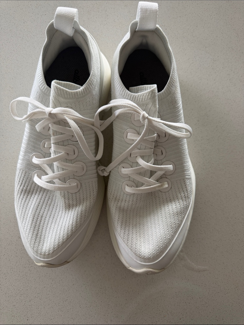 Women’s All birds White Knit Lace-Up Sneakers